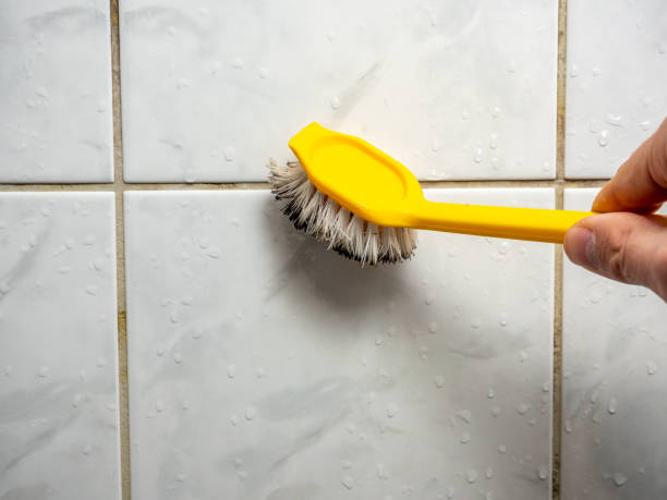 Professional Mold Removal in Turnersville, NJ