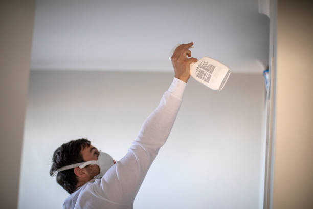 Best Certified Mold Removal  in Turnersville, NJ