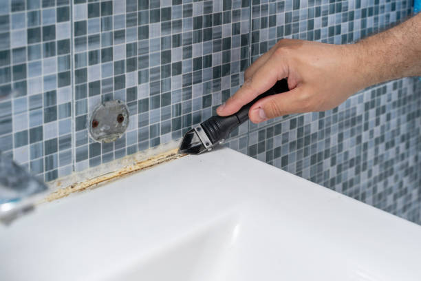 Best Same-Day Mold Removal  in Turnersville, NJ
