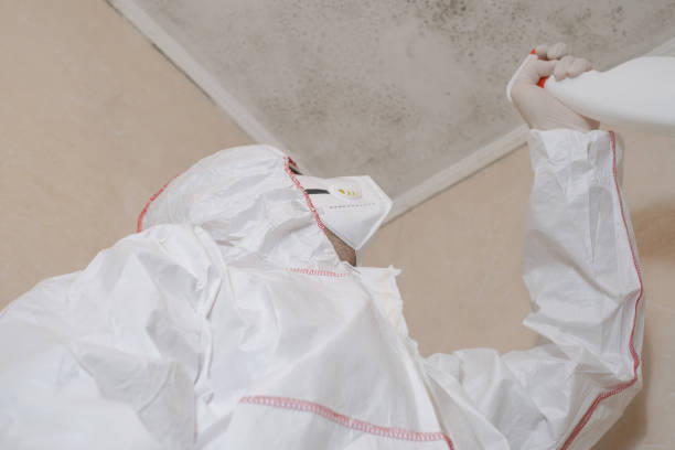 Best Commercial Mold Removal  in Turnersville, NJ